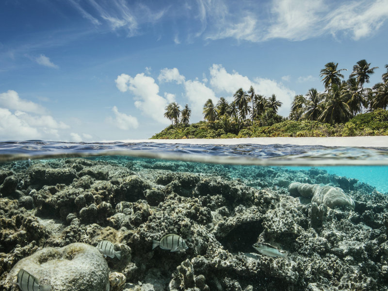 ROBINSON MALDIVES 7