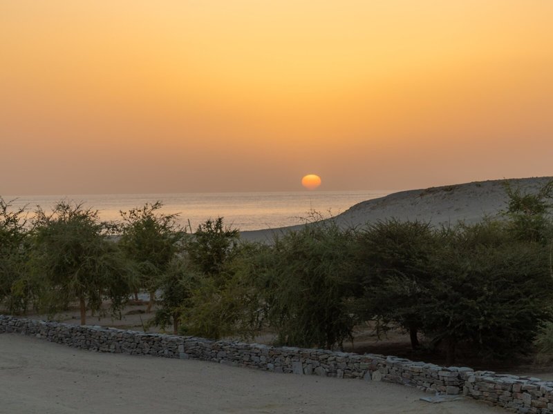 Wadi Sabarah Lodge 8