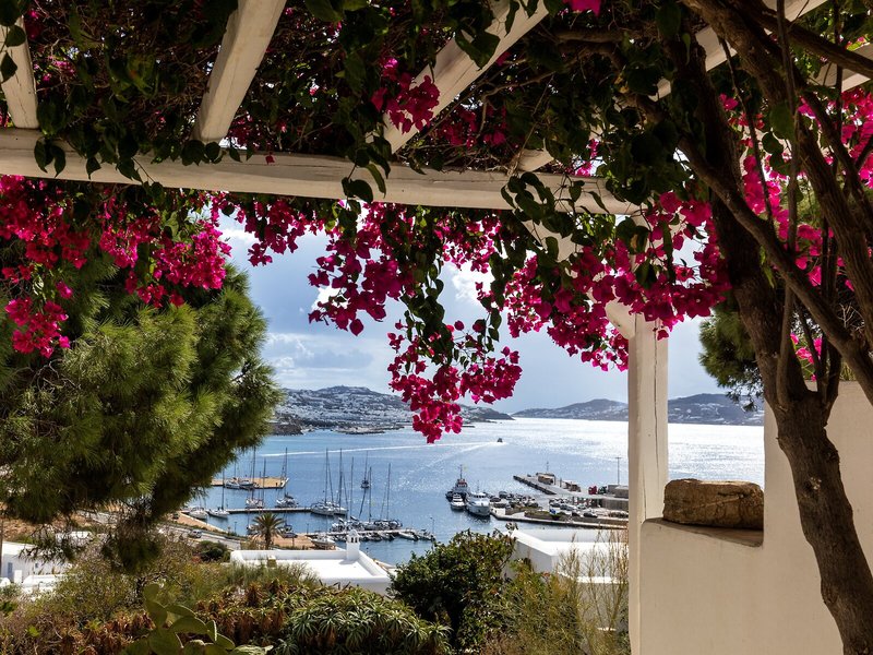 Rhenia Hotel & Bungalows 7