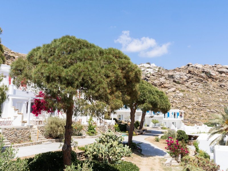 Rhenia Mykonos 9