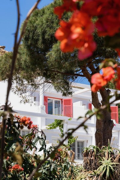 Rhenia Mykonos 36