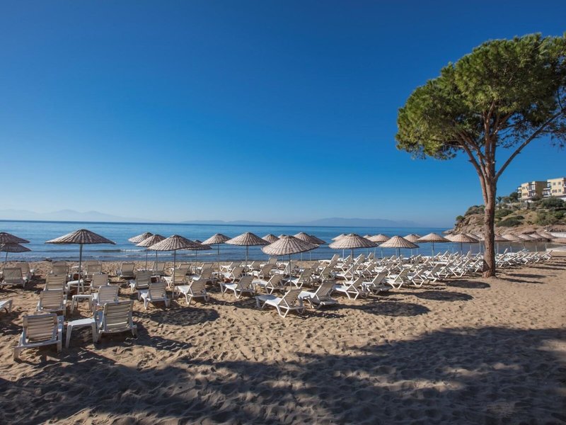 Aria Claros Beach & Spa Resort 6