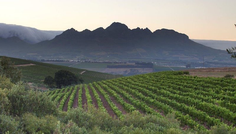 Asara Wine Estate 3