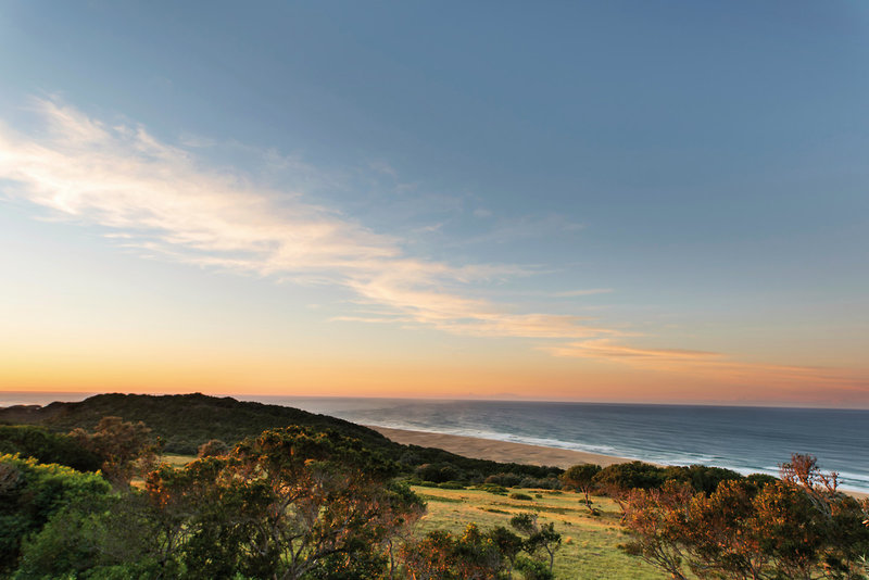 Oceana Beach & Wildlife Reserve 4