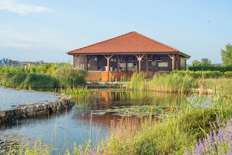 Sunrise All Suites Resort 20