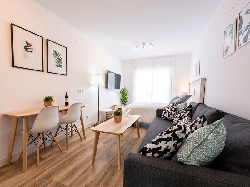 Apartamentos Toboso Plaza 4
