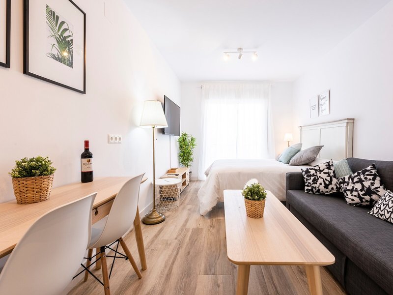 Apartamentos Toboso Plaza 9