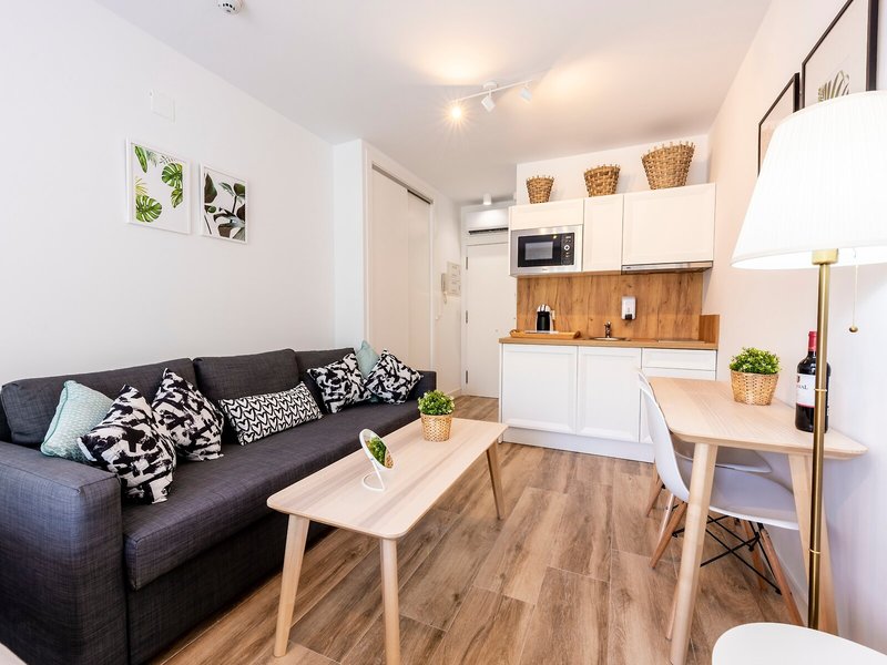 Apartamentos Toboso Plaza 11