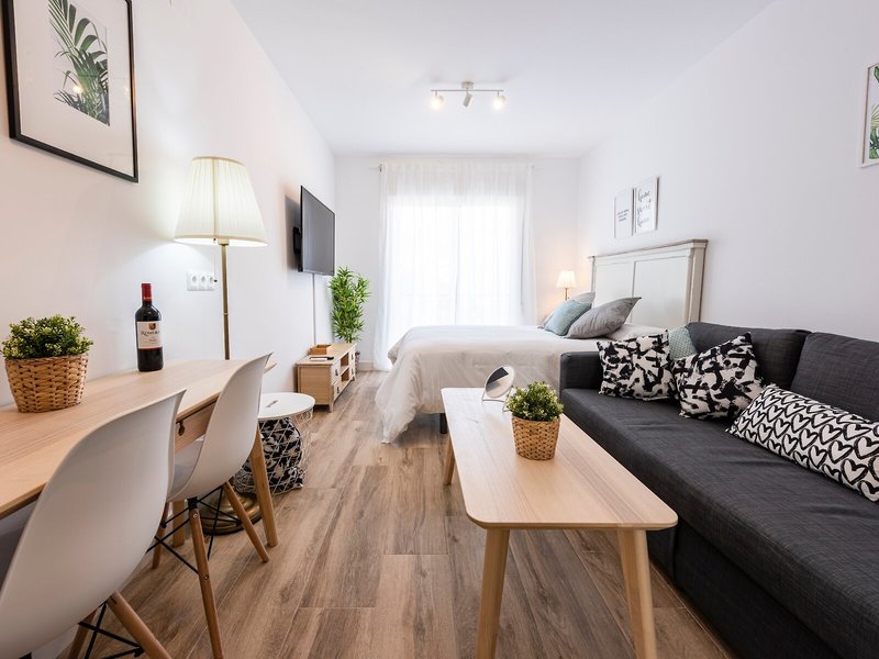Apartamentos Toboso Plaza 14
