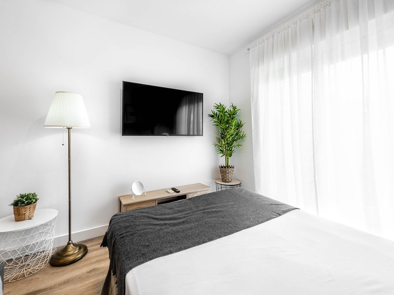 Apartamentos Toboso Plaza 15