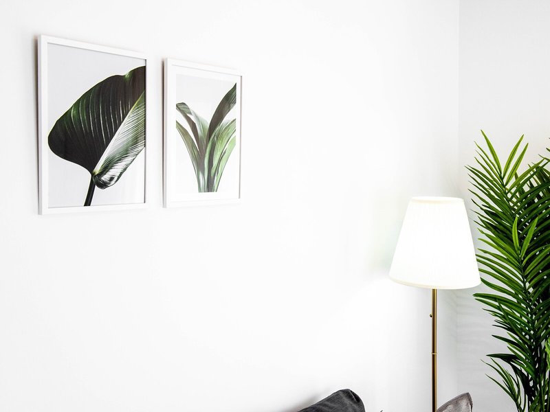 Apartamentos Toboso Plaza 25