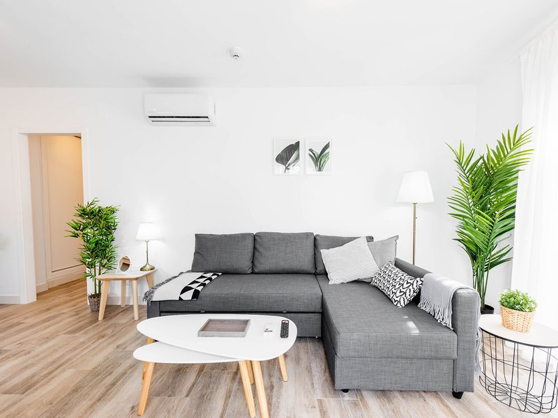 Apartamentos Toboso Plaza 26