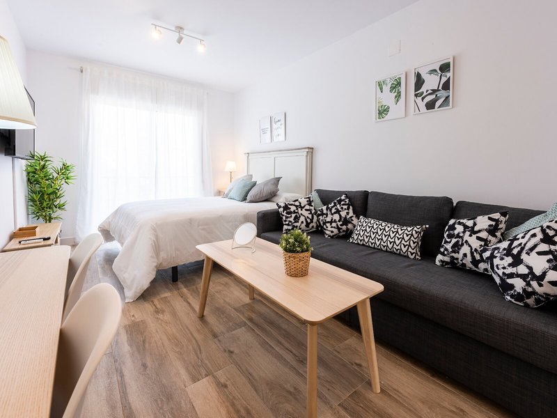 Apartamentos Toboso Plaza 41