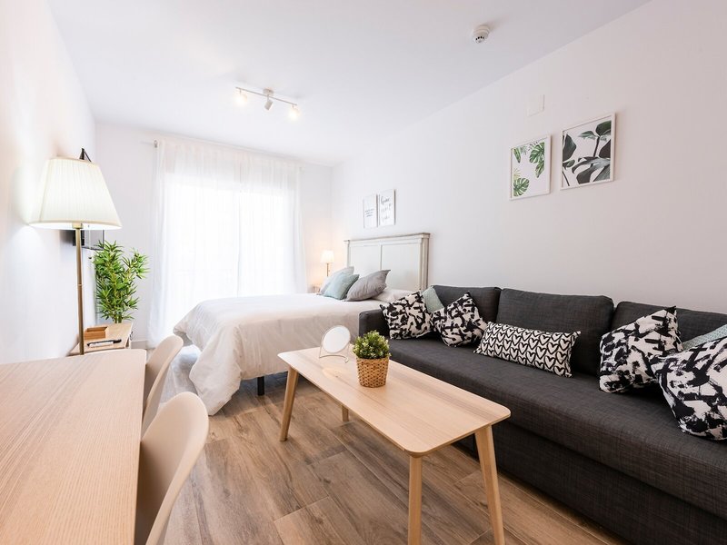 Apartamentos Toboso Plaza 42