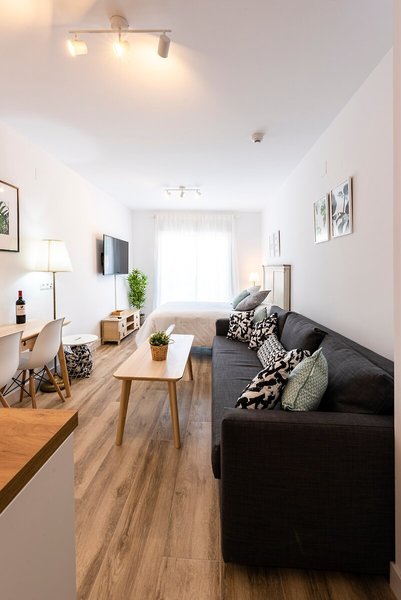 Apartamentos Toboso Plaza 43