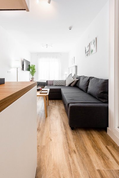 Apartamentos Toboso Plaza 44