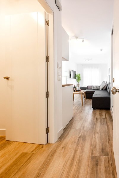 Apartamentos Toboso Plaza 45