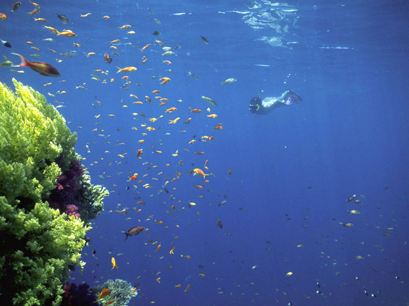 Laguna Beach Hotel & Spa 31