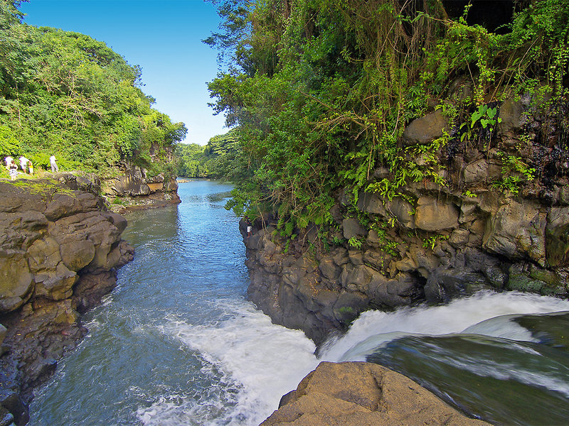 Laguna Beach Hotel & Spa 7