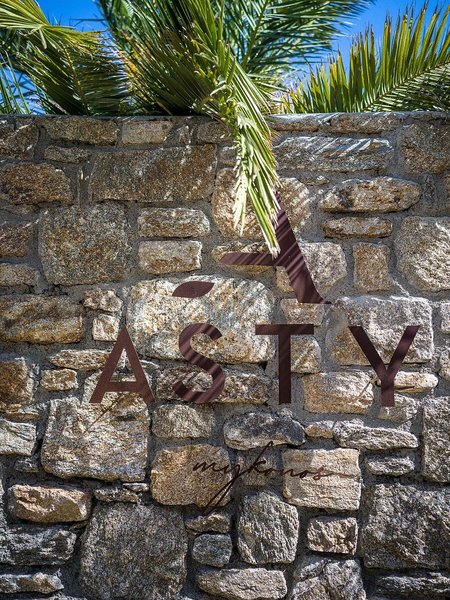Asty Mykonos Hotel & Spa 5