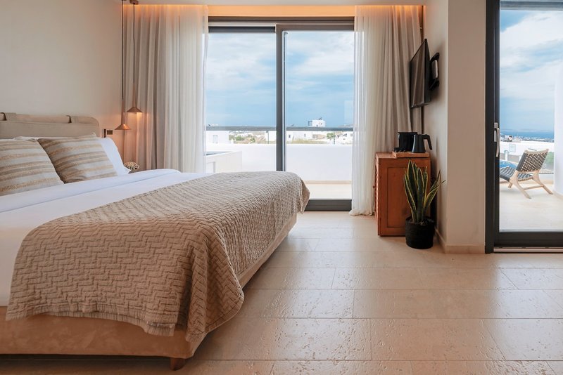 Asty Mykonos Hotel & Spa 6