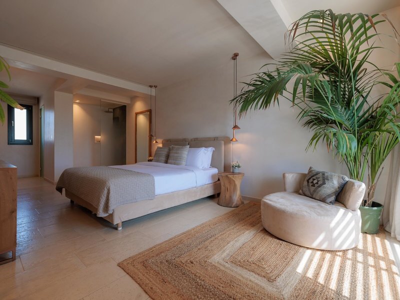 Asty Mykonos Hotel & Spa 30