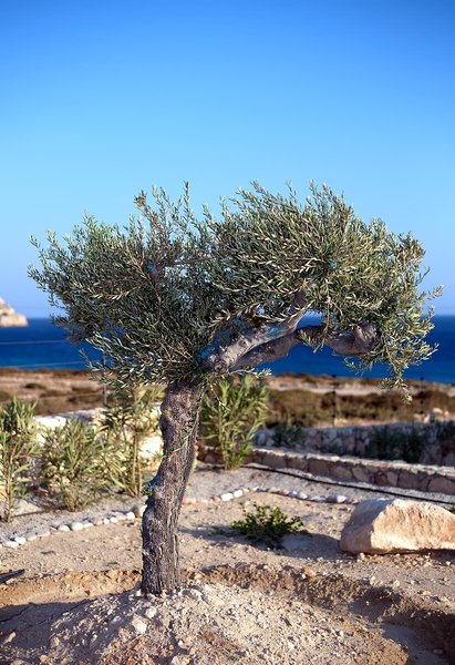 Aros Luxury Villas Karpathos 6