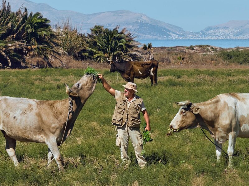 Grecotel Casa Paradiso 4