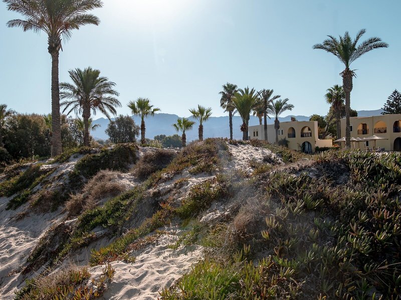 Grecotel Casa Paradiso 5