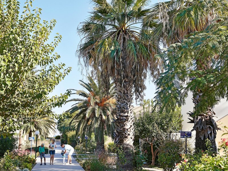 Grecotel Casa Paradiso 17