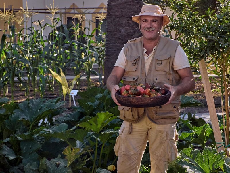 Grecotel Casa Paradiso 23