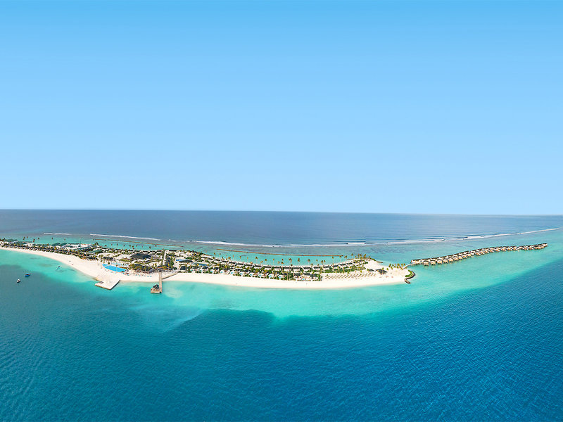 Joy Island 1
