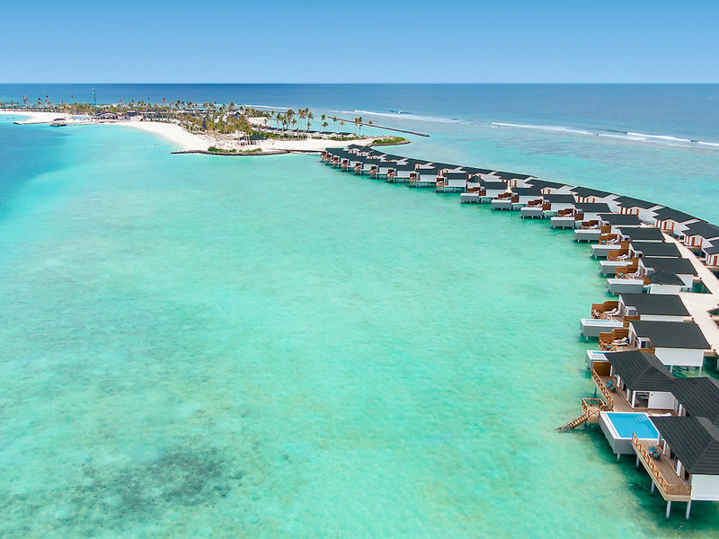 Joy Island 3