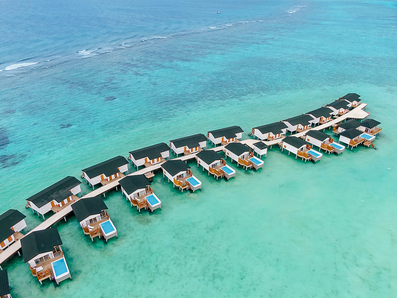 Joy Island 18