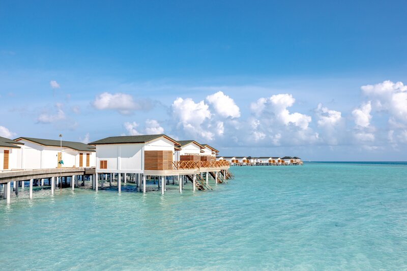 Joy Island 21