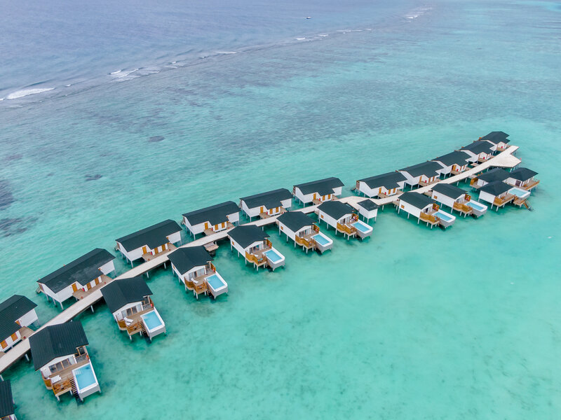 Joy Island 25