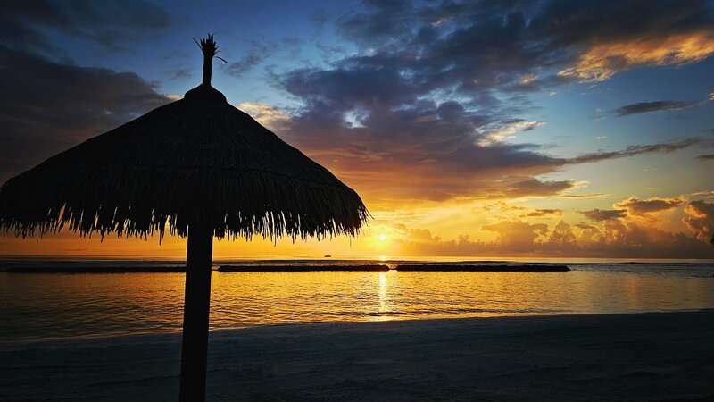 Joy Island 37