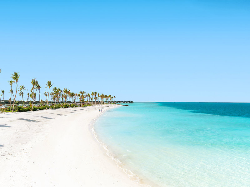 Joy Island 15