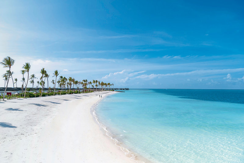 Joy Island 6