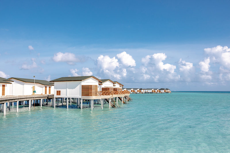 Joy Island 20