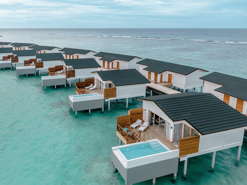 Joy Island 25