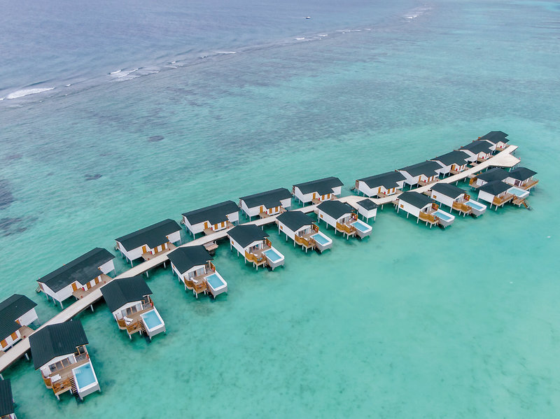 Joy Island 26