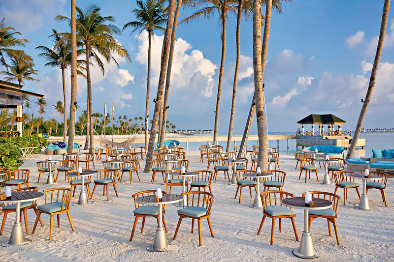 Joy Island 33