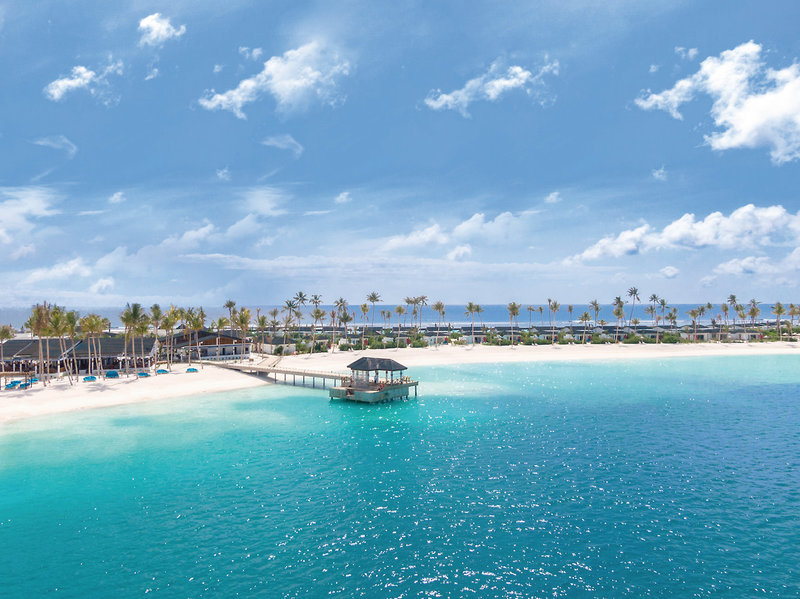 Joy Island 43