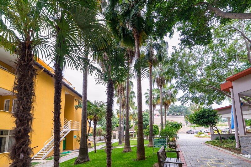 Armas Green Fugla 15