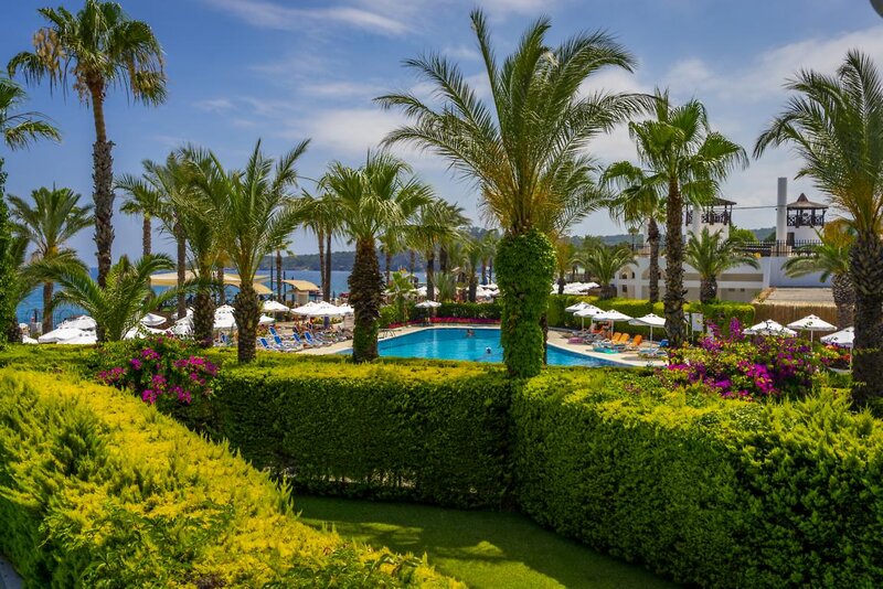Emelda Sun Club 9