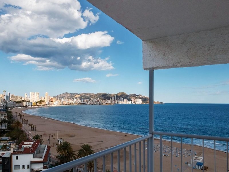 Mirador 5