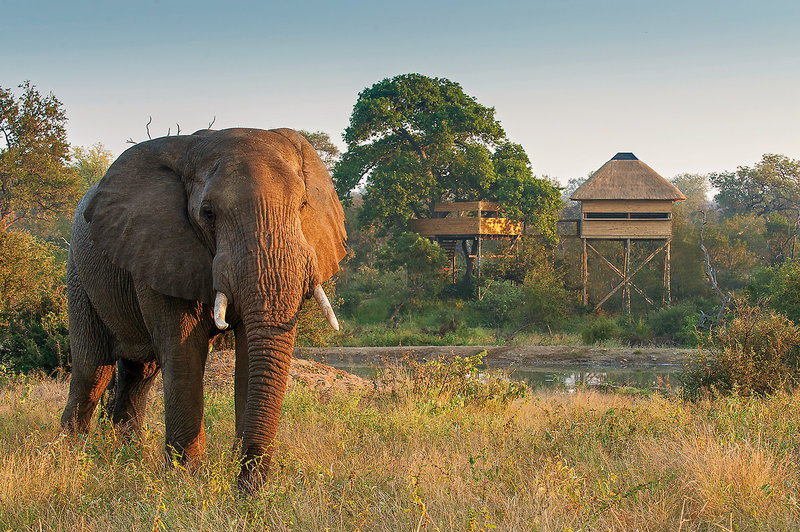 Pondoro Game Lodge 20