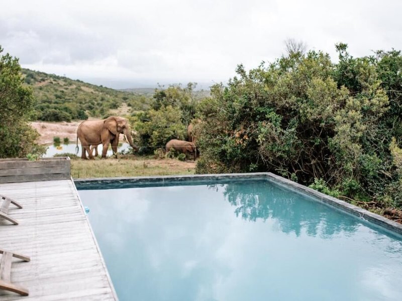 Bukela Game Lodge 11