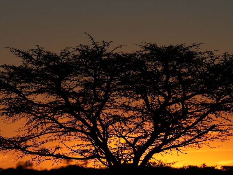 Bukela Game Lodge 2